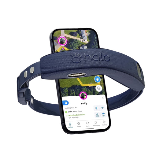 Halo Collar 4 Wireless Dog Fence System & GPS Dog Collar, One Size, Midnight