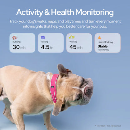GPS Dog Collar with Wireless Fence, AI Analysis & Precise Positioning - 5-Day Battery, IP68 Waterproof, Blue
