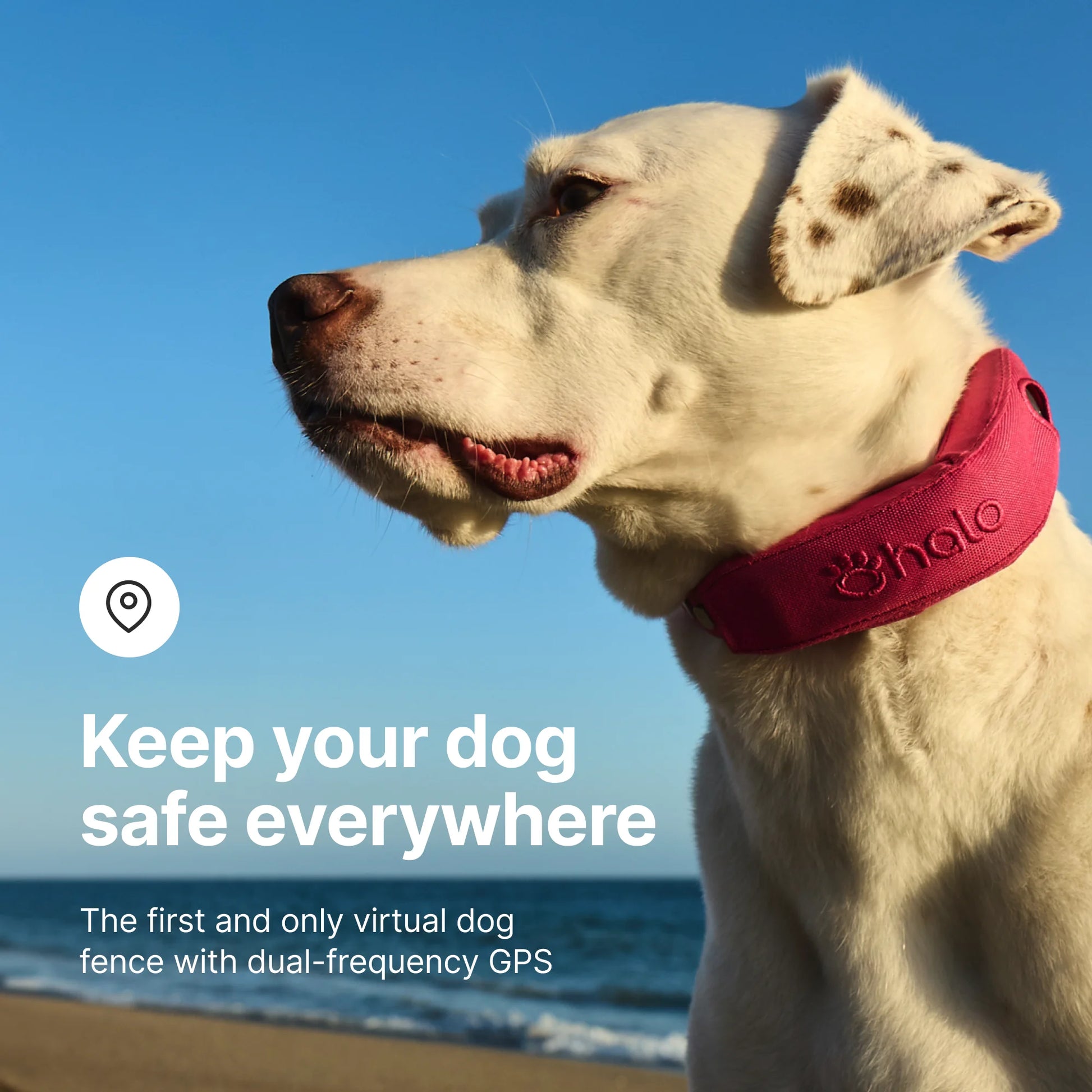 Halo Collar 4 Wireless Dog Fence System & GPS Dog Collar, One Size, Sunburst