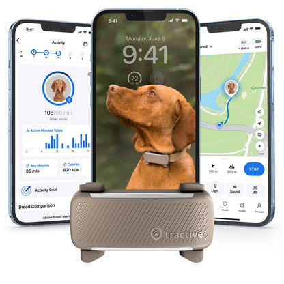 Smart GPS Dog Tracker with Vital Signs Monitoring (Brown)
