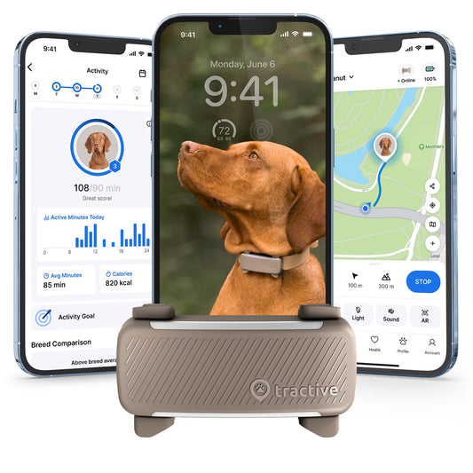 Smart GPS Dog Tracker with Vital Signs Monitoring (Brown)