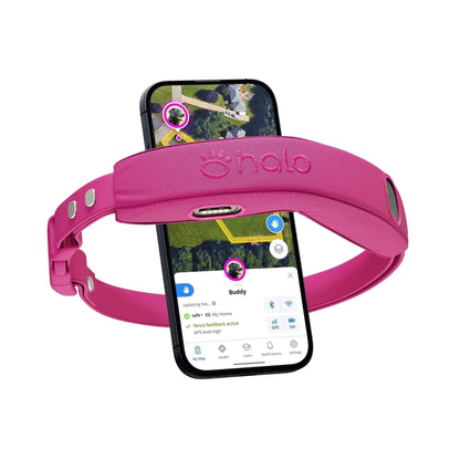 Halo Collar 4 Wireless Dog Fence System & GPS Dog Collar, One Size, Orchid