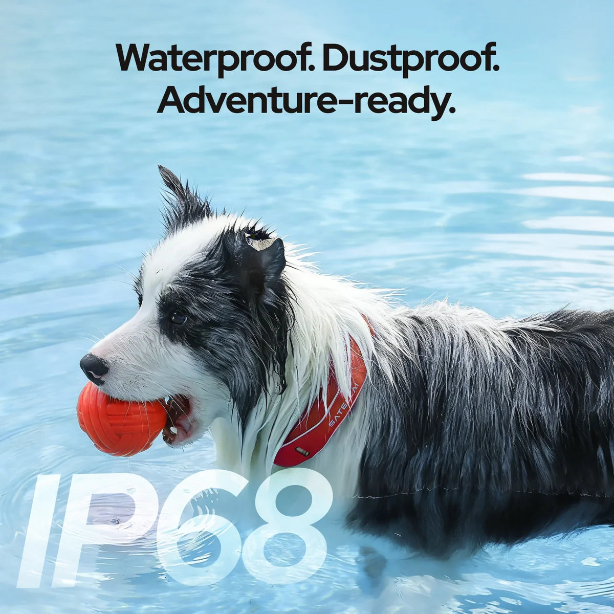 GPS Dog Collar with Wireless Fence, AI Analysis & Precise Positioning - 5-Day Battery, IP68 Waterproof, Blue