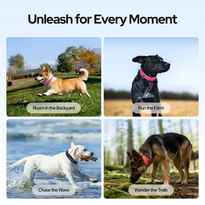 GPS Dog Collar with Wireless Fence, AI Analysis & Precise Positioning - 5-Day Battery, IP68 Waterproof, Blue