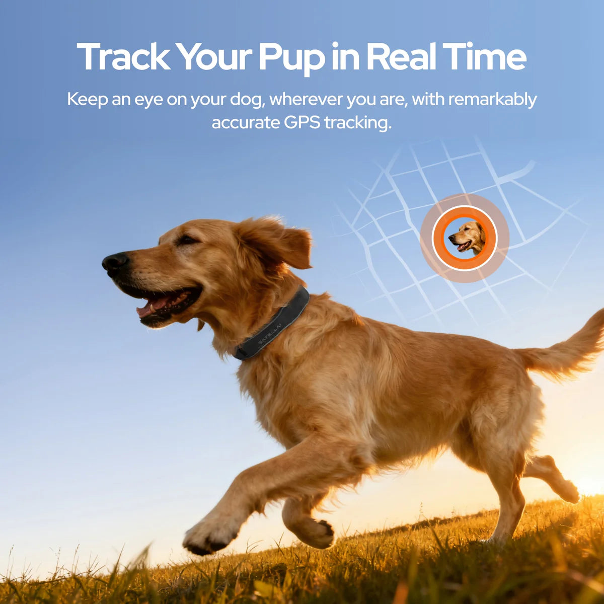 GPS Dog Collar with Wireless Fence, AI Analysis & Precise Positioning - 5-Day Battery, IP68 Waterproof, Blue
