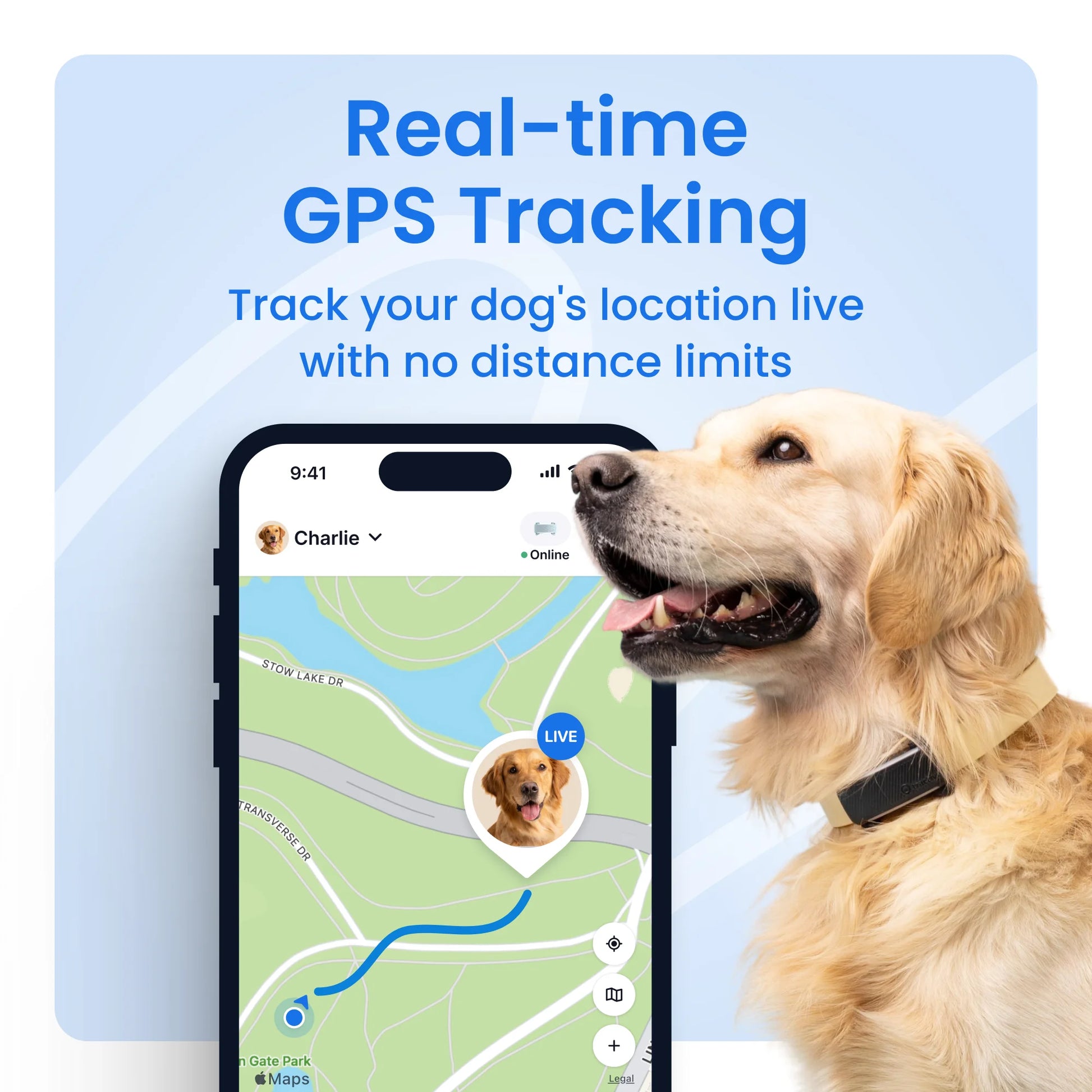Smart GPS Dog Tracker with Vital Signs Monitoring (Brown)