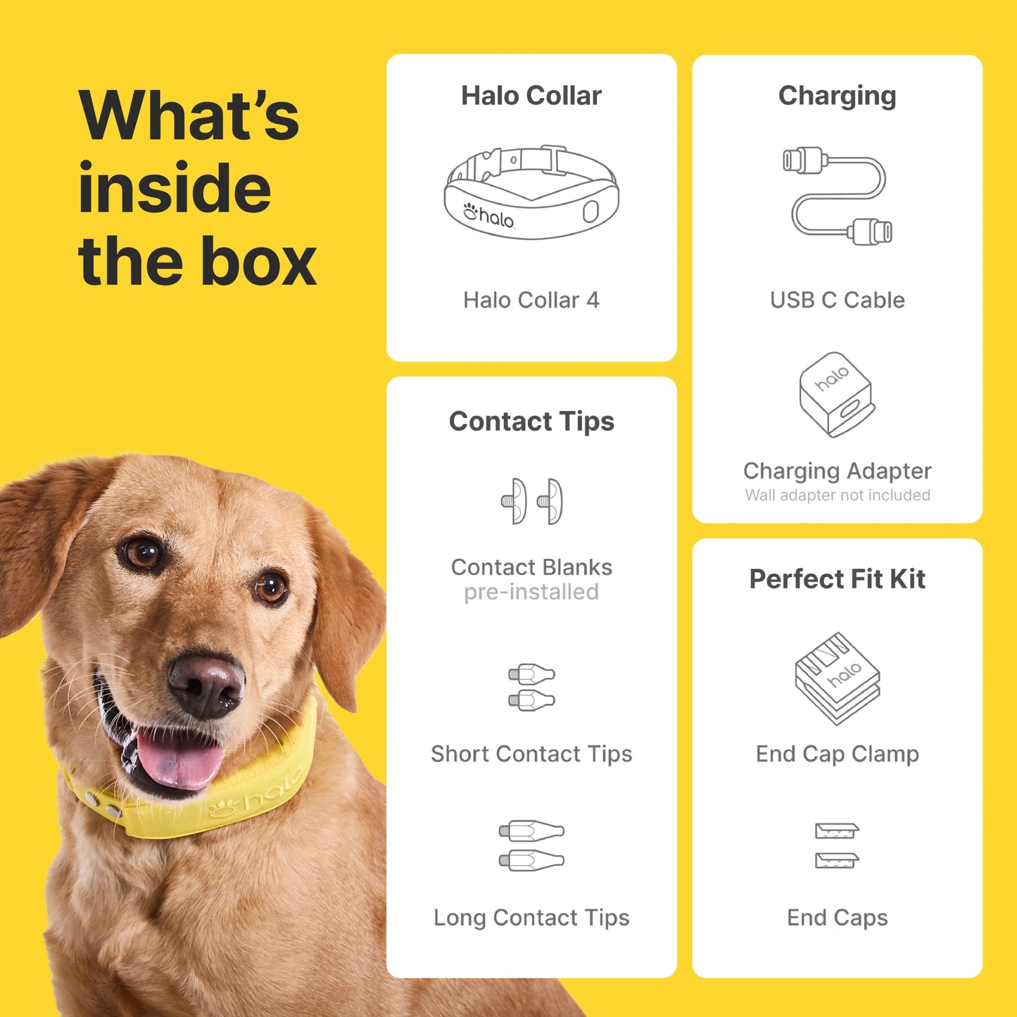 Halo Collar 4 Wireless Dog Fence System & GPS Dog Collar, One Size, Sunburst